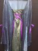 Adult Female Costumes to Hire - Gun metal silver dress wiith purple trim